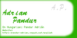 adrian pandur business card